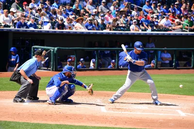 DSC_1760 (Large).JPG